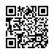 QR Code 31411