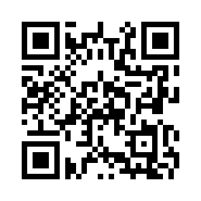 QR Code 31130
