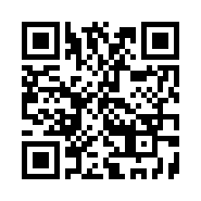 QR Code 31110