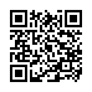 QR Code 31213