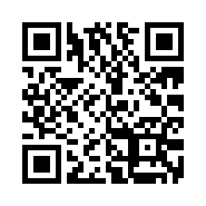 QR Code 28729