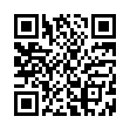 QR Code 28738