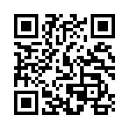 QR Code 30029
