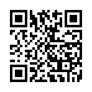 QR Code 31133